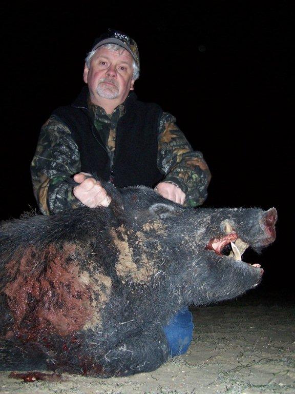 Texas Hog Hunting