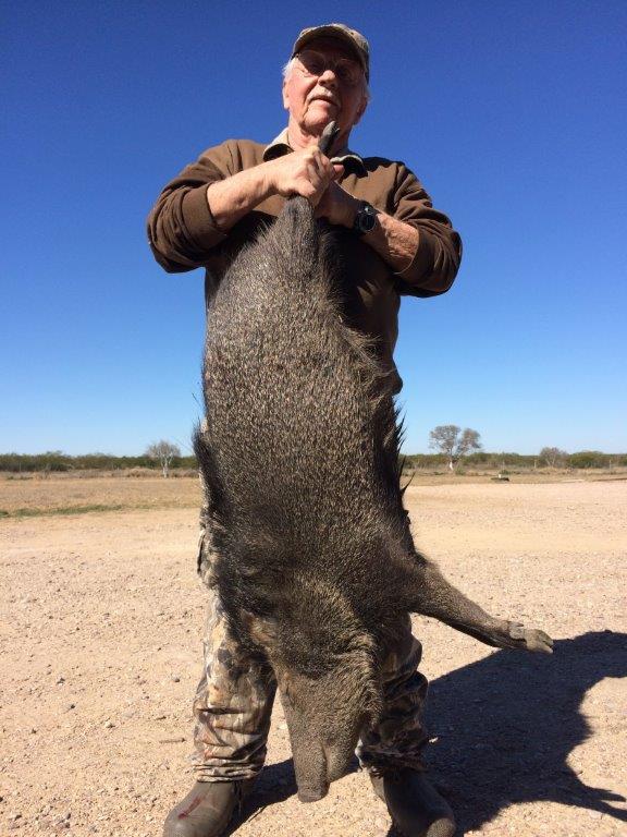 Guided Javelina Hunting Trips & Packages in Texas Lazy R Hunts