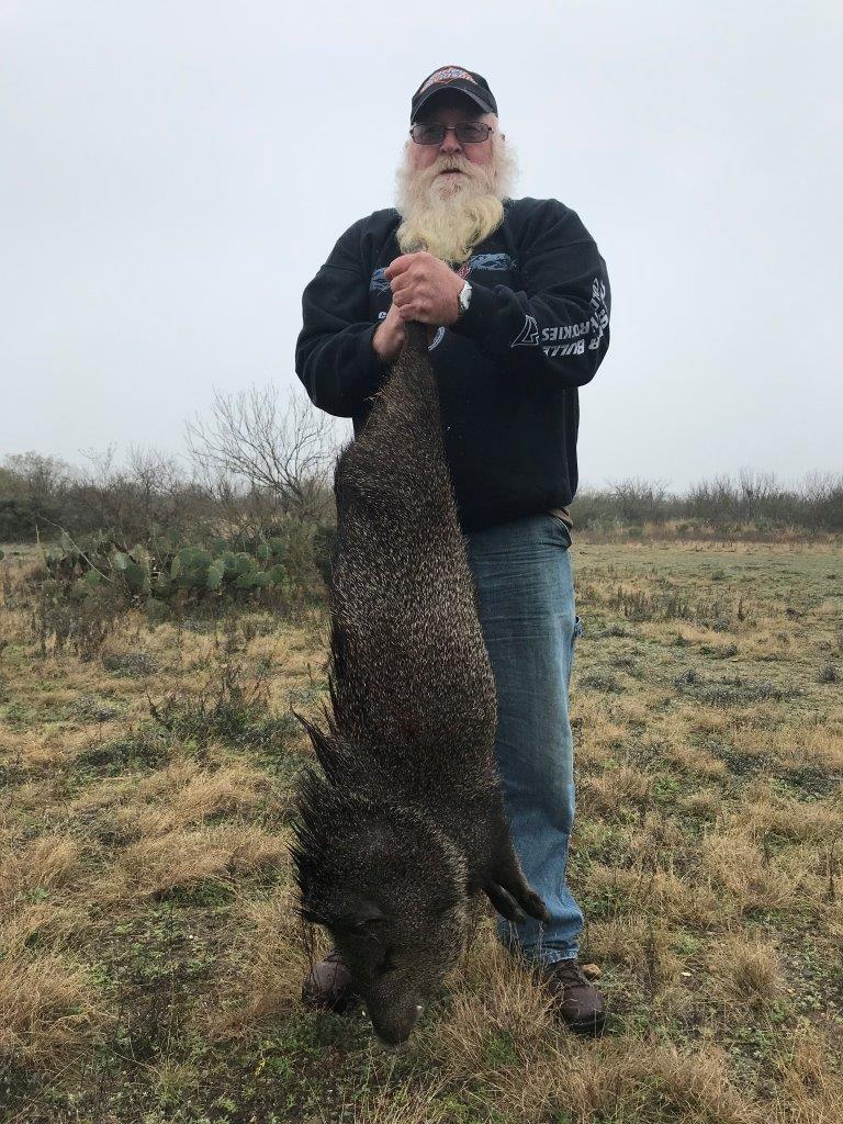 Texas Javelina Hunting