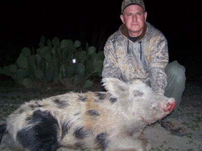 Wild Boar Hunting Ranch in Texas